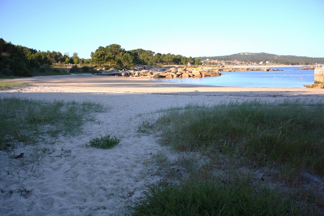 Foto de entorno 3 de Camping O Espiño