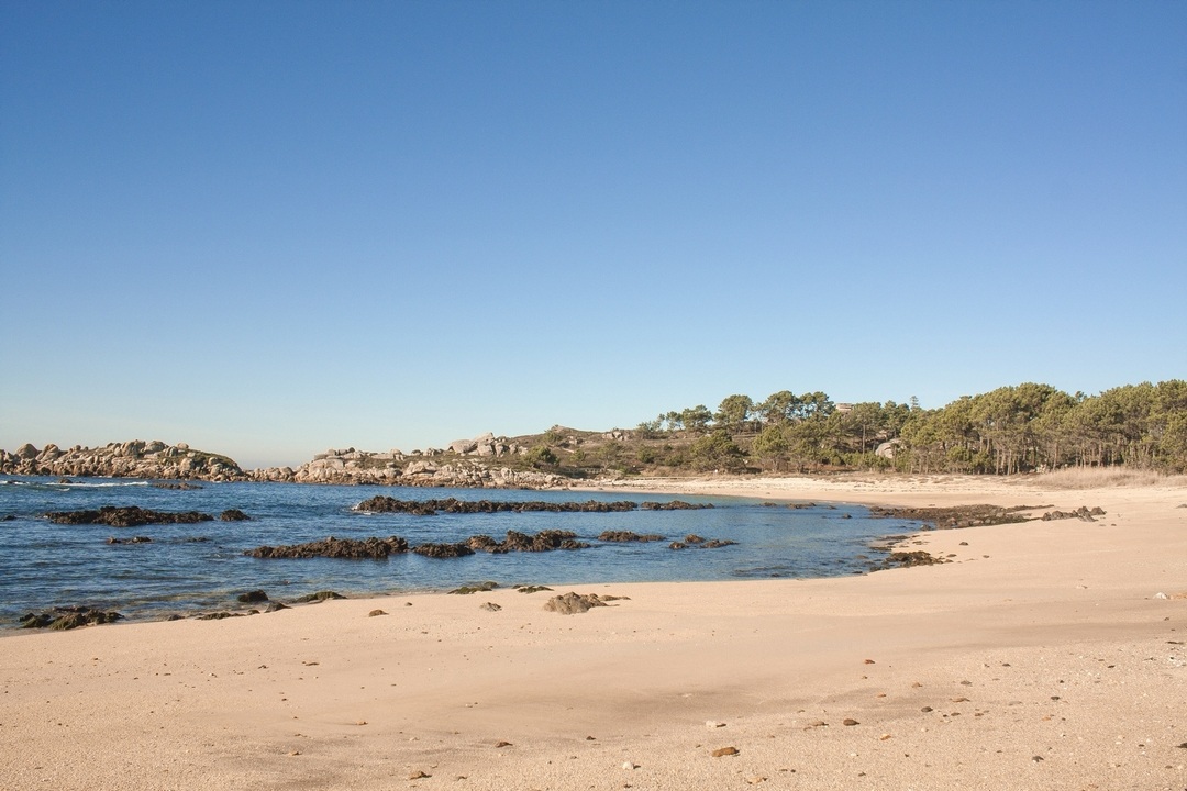 Foto de entorno 4 de Camping O Espiño