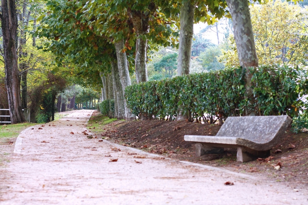 Foto de entorno 5 de Camping O Espiño