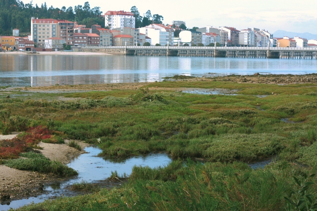 Foto de entorno 6 de Camping O Espiño