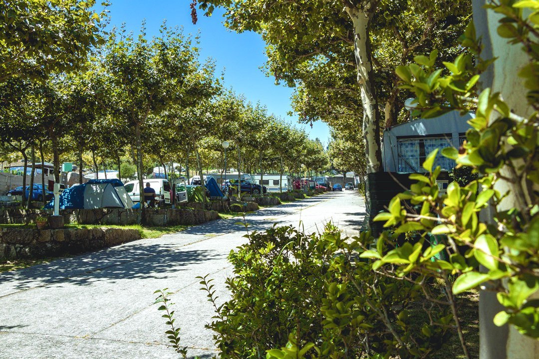 Foto de parcelas 9 de Camping O Espiño