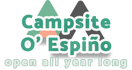 Campsite O Espiño in O Grove - Open all year long
